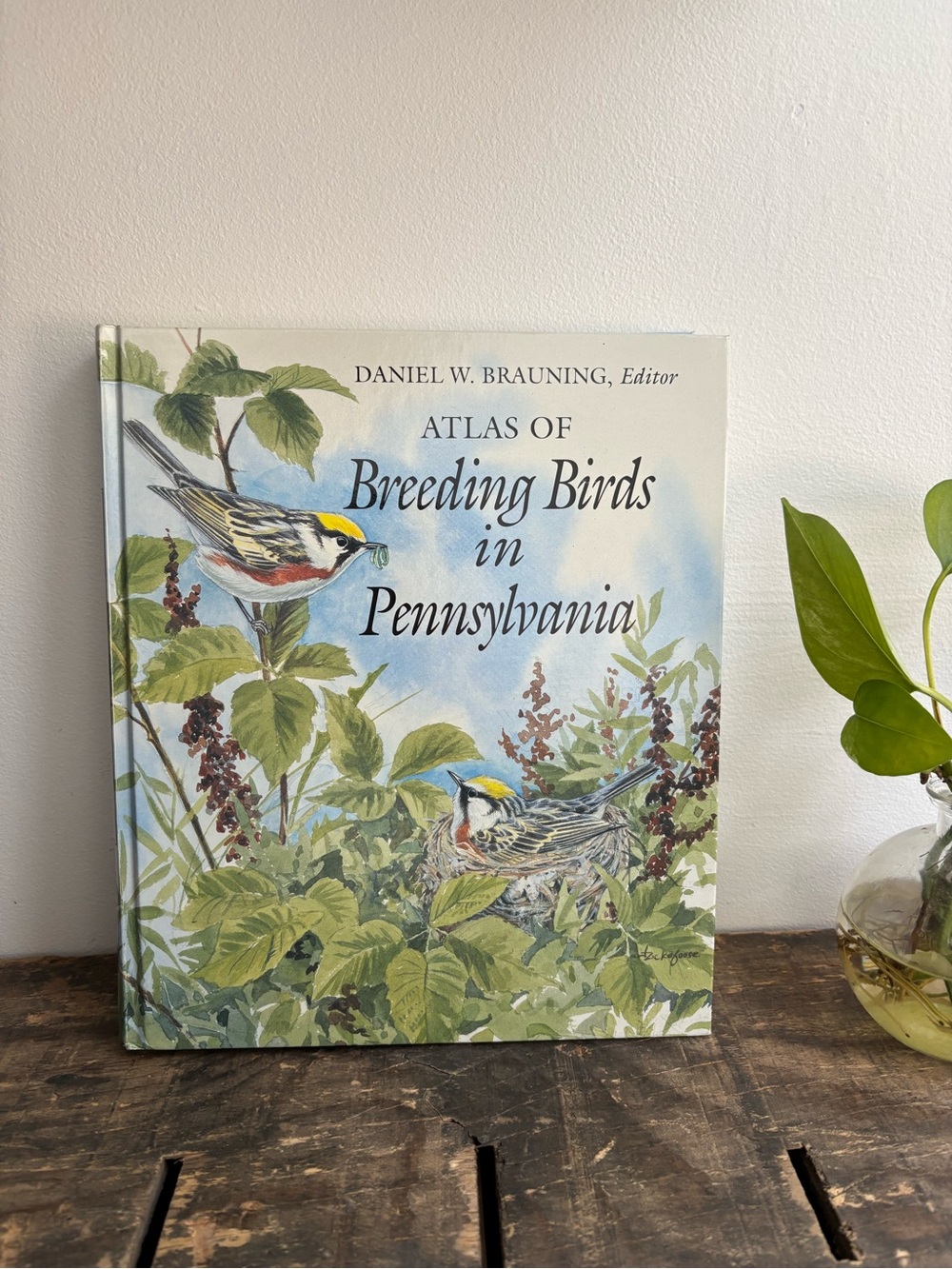 Atlas of Breeding Birds in Pennsylvania - Illustrated Bird Guide Book Brauning